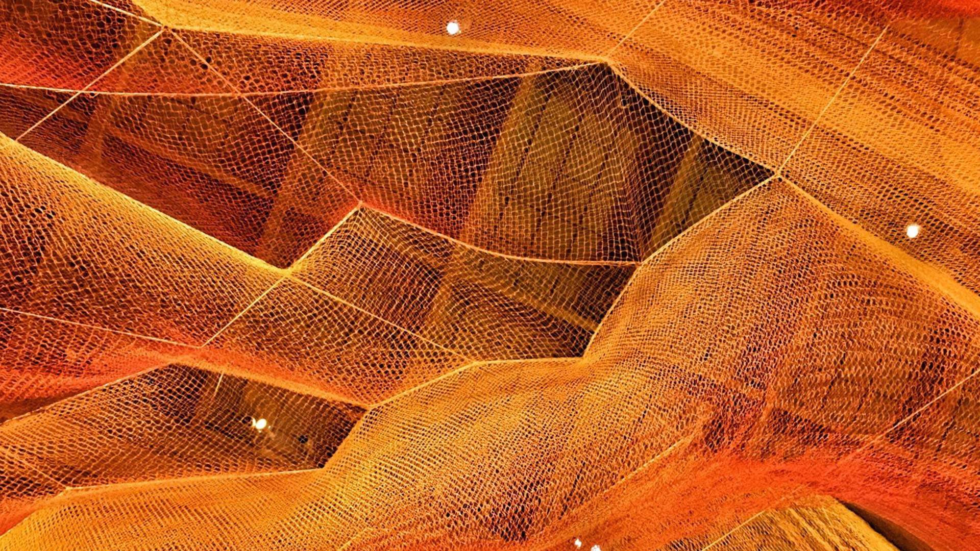 Forensics, Risk and Compliance