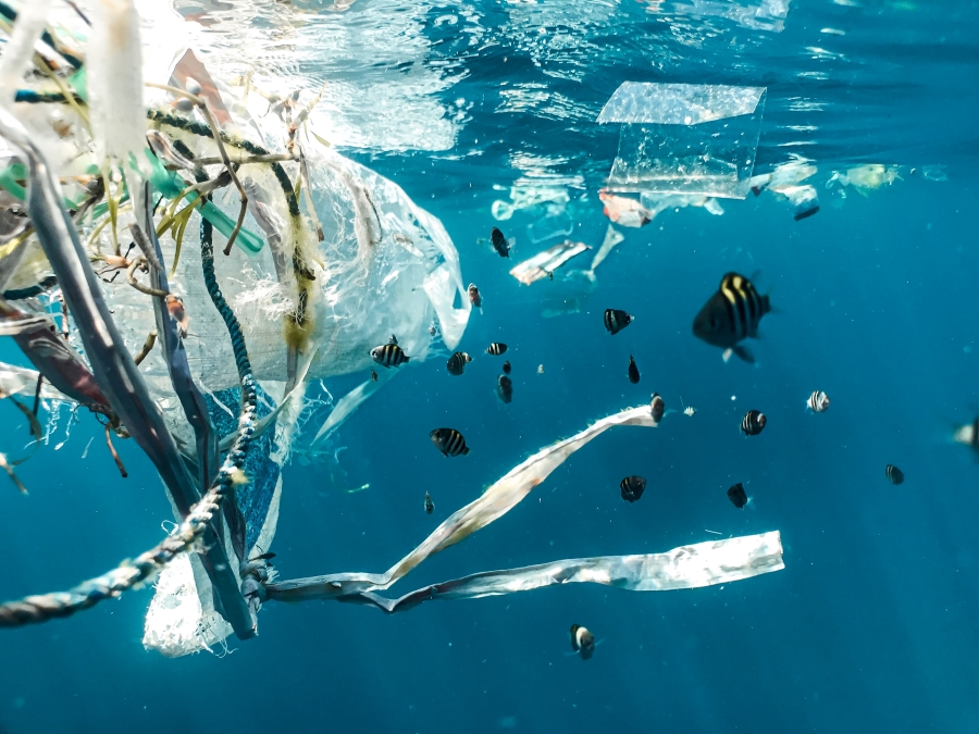 Re-Thinking the Future of Single Use Plastics