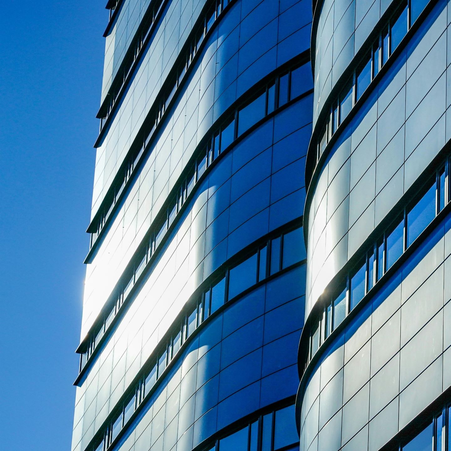 Whistleblower and Witness Protection Act: Legal and Practical Implications of Whistleblowing in the Workplace