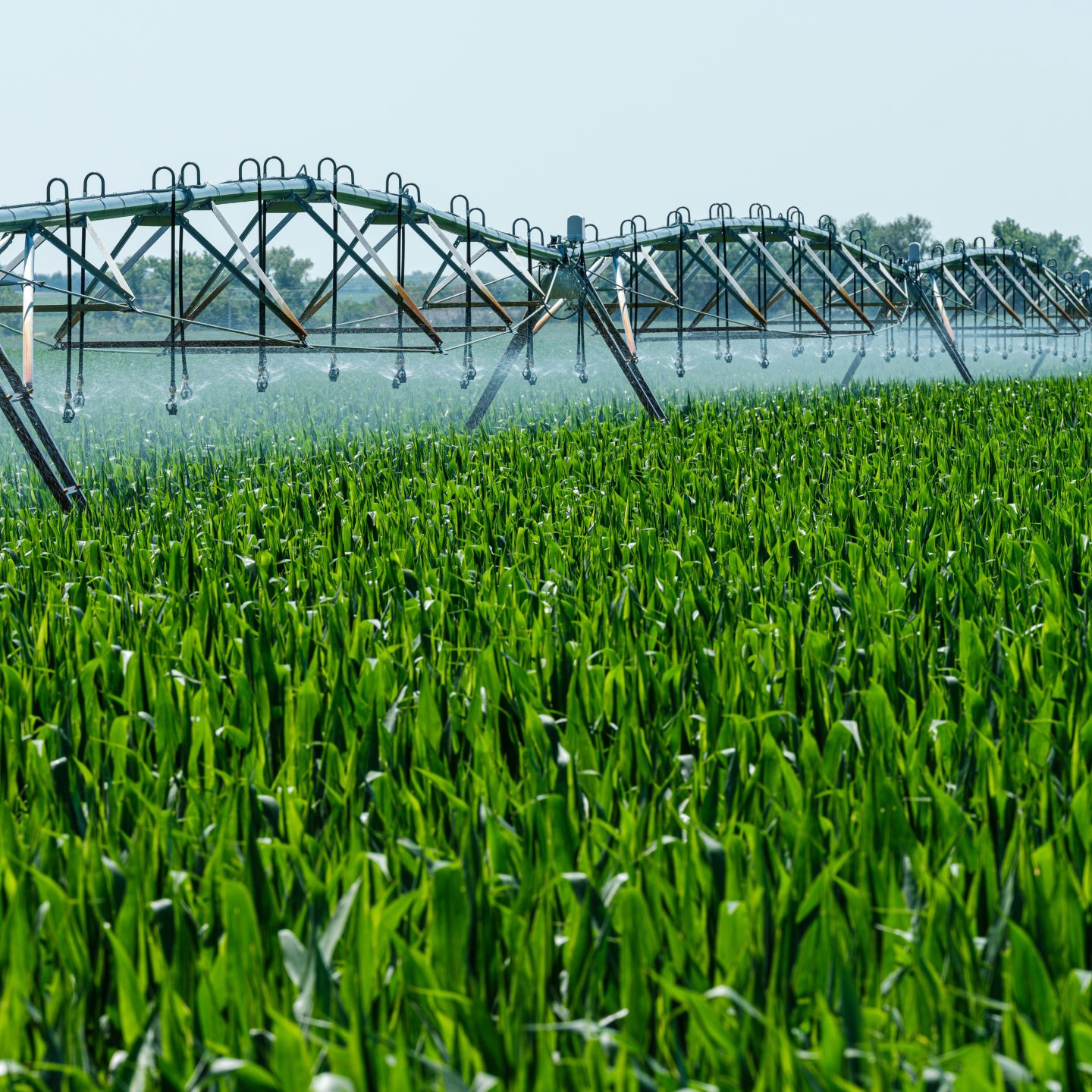 Transforming Africa’s Agribusiness: Growing Sustainable Food Systems for the Future